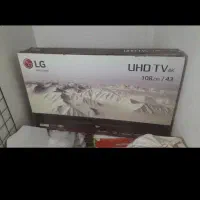 کلکسیون کارتن