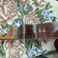 گیتار آلمانزا و گودین کنسرتی|گیتار، بیس، امپلیفایر|کرمان, |دیوار