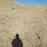 زمین زراعی و کشاورزی|اجارهٔ دفتر صنعتی، کشاورزی، تجاری|کیار, |دیوار