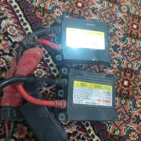 ترانس زنون سالم