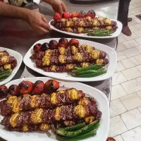 سالنکار و ویتر با جای خواب