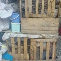 قفس چوبی برای لاری