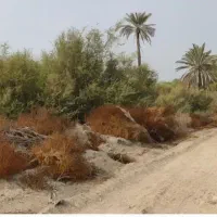 فروش زمین