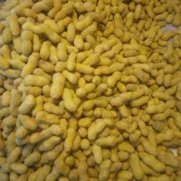 بادام تازه به قیمت مفت