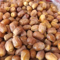 خرما زاهدی(قصب)|عمده‌فروشی|شیراز, شهرک صنعتی شیراز|دیوار