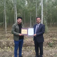 بهترین فرصت خرید نهال صنوبر|خدمات باغبانی و درختکاری|کامیاران, |دیوار