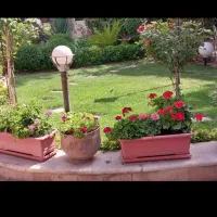 خدمات باغبانی تمام نقاط تهران گل کاری هرس خاکگلدان