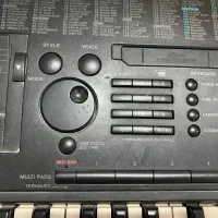 ارگ|پیانو، کیبورد، آکاردئون|بوشهر, |دیوار