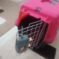 باکس حیوانات