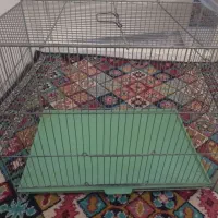 قفس متوسط