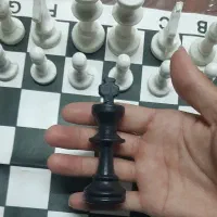 شطرنج فدراسیونی|اسباب‌‌بازی|نیشابور, شهید بهشتی|دیوار