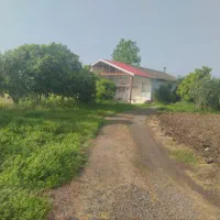 باغ-ویلا-14000متری-جزیره-ای-میان-شالیزارها-خاص