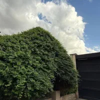 استخدام نگهبان بازنشسته در محدوده ایرانخودرو