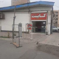 پخش انواع رگال