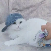 یک میلیون تومن