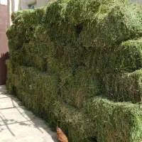 یونجه بسته بندی و پوشال خرگوش+ارسال با پیک|لوازم جانبی حیوانات|مشهد, هنرور|دیوار