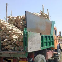 قطع و برش درختان