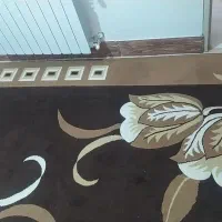 گلیم 6متری|گلیم، جاجیم، گبه|بروجرد, |دیوار