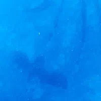 فروش ۵۰ هکتار