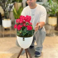 گل شمعدانی مصنوعی وارداتی|گل مصنوعی|تهران, دریاچه شهدای خلیج فارس|دیوار