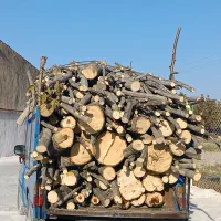 خدمات اره موتوری چوب درختان(بریدن)|گل و گیاه طبیعی|بروجرد, |دیوار