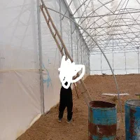 تعمیرات و نصب  گلخانه فلزی اسپانیایی و معمولی|خدمات پیشه و مهارت|نجف‌آباد, حومه نجف آباد|دیوار