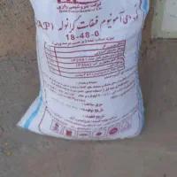 کود|گل و گیاه طبیعی|سیسخت, |دیوار
