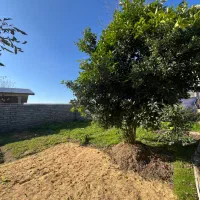 220-مسکونی-مستطیل-با-مجوز-از-بنیاد-مسکن