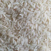 برنج طارم ضیغمی