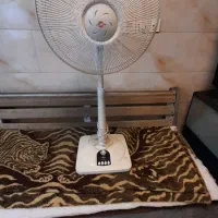 پنکه پارس خزر|پنکه و تصفیهکنندهٔ هوا|قزوین, |دیوار