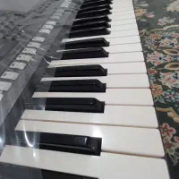 s970 یاماها|پیانو، کیبورد، آکاردئون|چناران, |دیوار