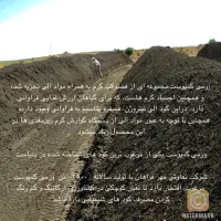 کود ارگانیک ورمی کمپوست|خدمات باغبانی و درختکاری|شهریار, شهرک وائین|دیوار