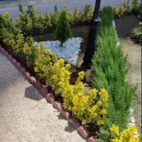 باغبانی طراحی و فضای سبز کاشت گل و فروش گل باغبان