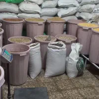 انواع پرنده ،لوازم جانبی،و دان پرندگان|پرنده|مسجد سلیمان, |دیوار