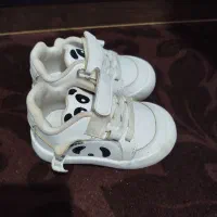 فروش چند مدل کفش|کیف، کفش، کمربند|علی‌آباد کتول, |دیوار