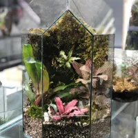 باغ شیشه ای