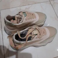 کفش کتانی نو سایز ۳۸|کیف، کفش، کمربند|قزوین, |دیوار