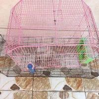 فروش دوعدد قفس