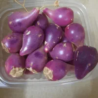 میوه کاکتوس