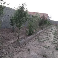 باغ ۵۰۰ متری در وهن آباد|فروش زمین و ملک کلنگی|رباط‌کریم, |دیوار