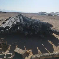 آل موتوربند