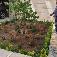 خدمات باغبانی درختکاری گل کاری هرس تهران و کرج