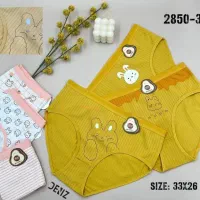 فروشگاه لباس زیر زنانه ویکتوریا|لباس|دزفول, |دیوار