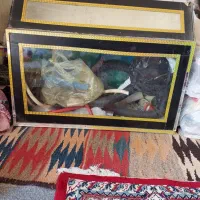 آکواریوم