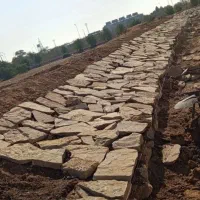 بنا سنگ کار