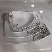 ظروف چینی