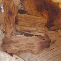 نا خشک|خوردنی و آشامیدنی|رشت, بیجارپس|دیوار