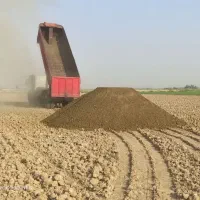 فروش کود گاوی به صورت عمده