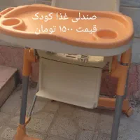 صندلی غذا و صندلی ماشین