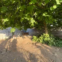 فروش زمین بندرانزلی
